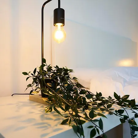 T2 Confortable A Saint Maurice Pellevoisin Lille